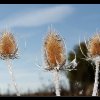 20121005_051